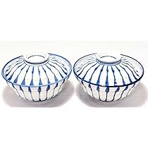 Amazon.co.jp: 瀬戸焼 蓋つき どんぶり （カツ丼、うな丼サイズ